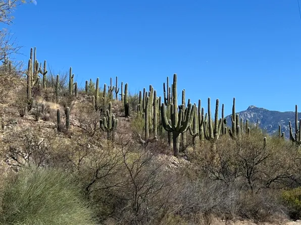 15175 E Rincon Creek Ranch Rd, Tucson, AZ 85747