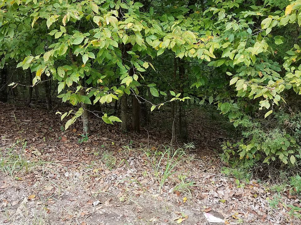 1st image of 302 Woodview Dr