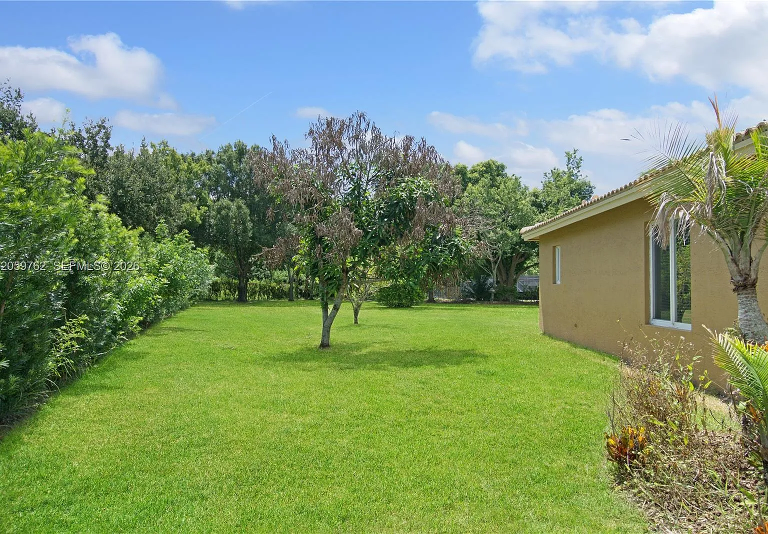 4 bed, 2.0 bath, 1600 sqft, $3,100 — Photo 4