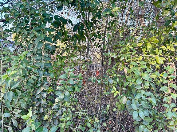 5th image of 813 Chase St