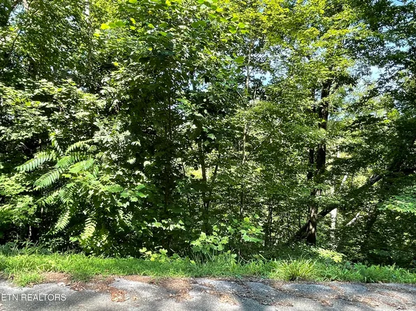 926 Stoneway Ct, White Pine, TN 37890