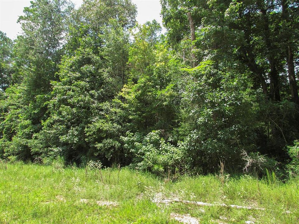 1st image of 2.5 Ac Magnolia Woods Dr