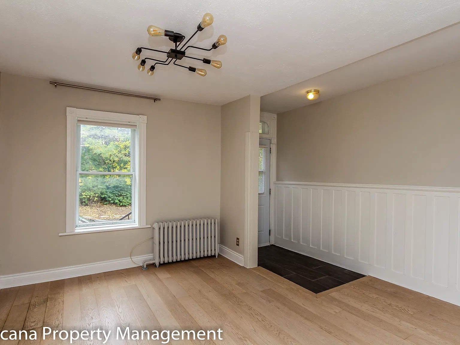 49 Heney Street - 1 — Photo 4
