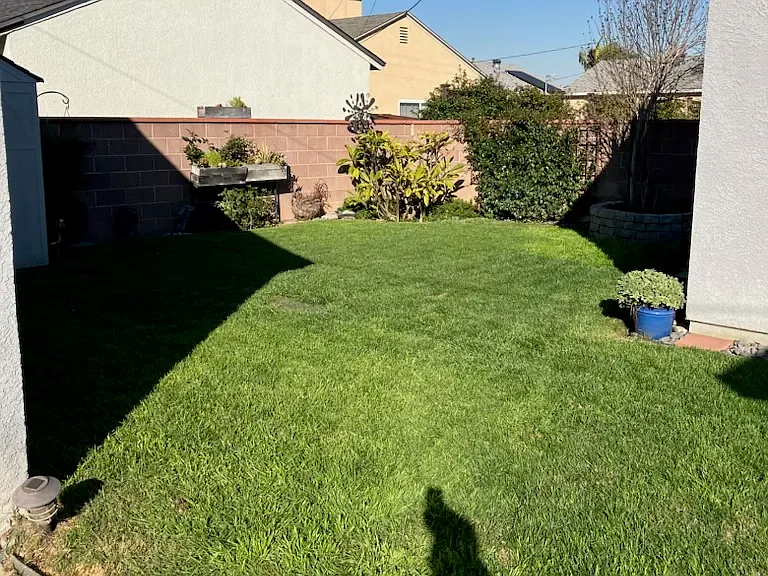 2825 Frankel St — Photo 39