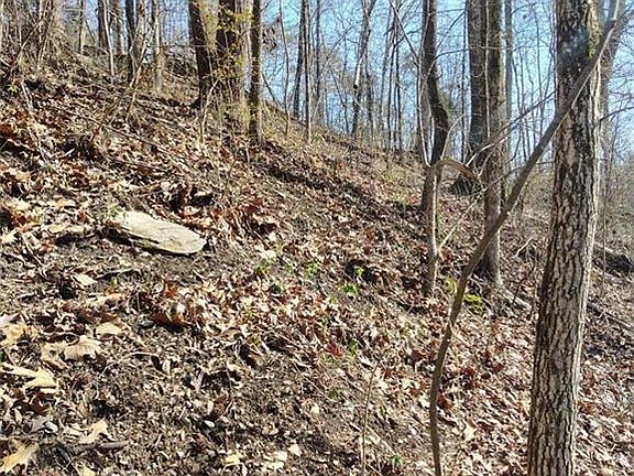 3rd image of 0 Braswell Rd #1