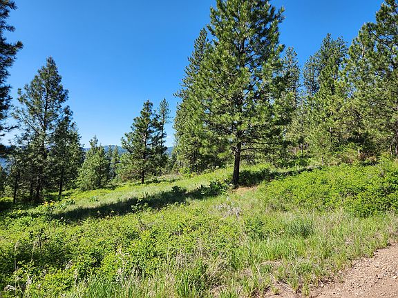 2nd image of Gold Mountain Rd