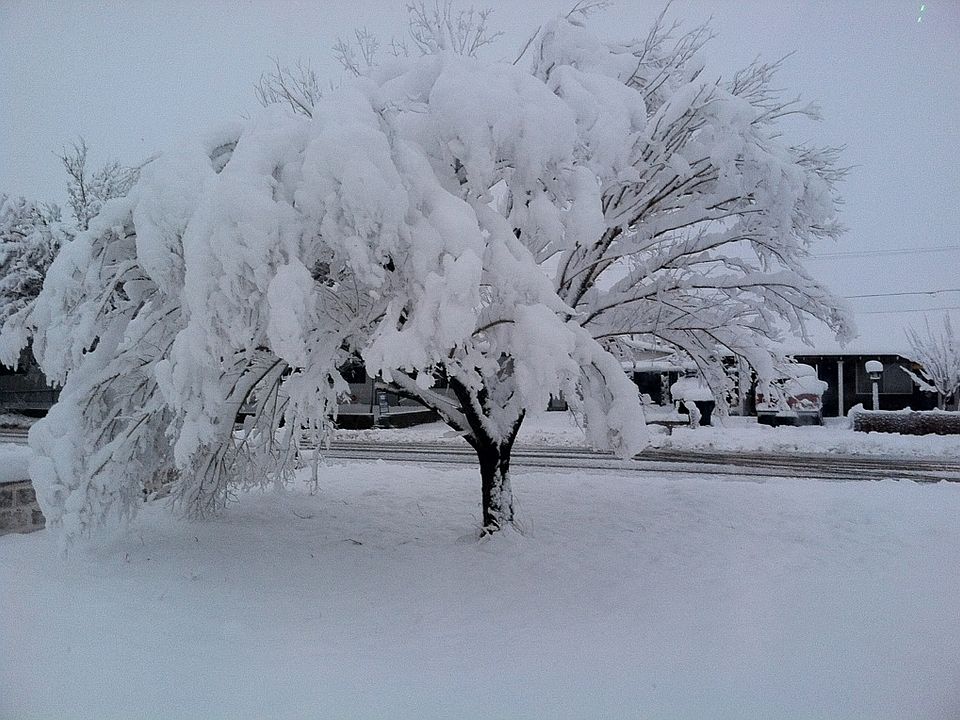 view from front door 2012