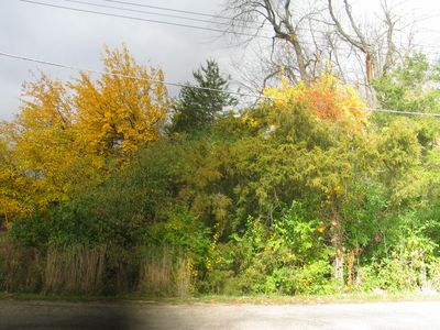 11694 Baker Rd, Jerome, MI, 49249