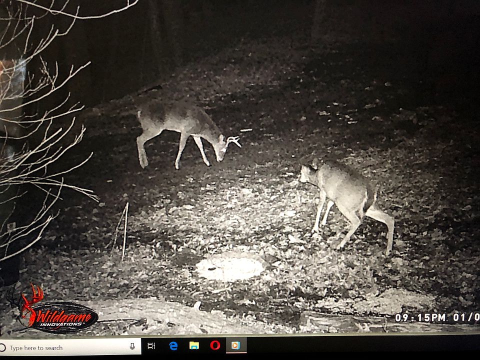 1st image of 424 Marcetta Dr
