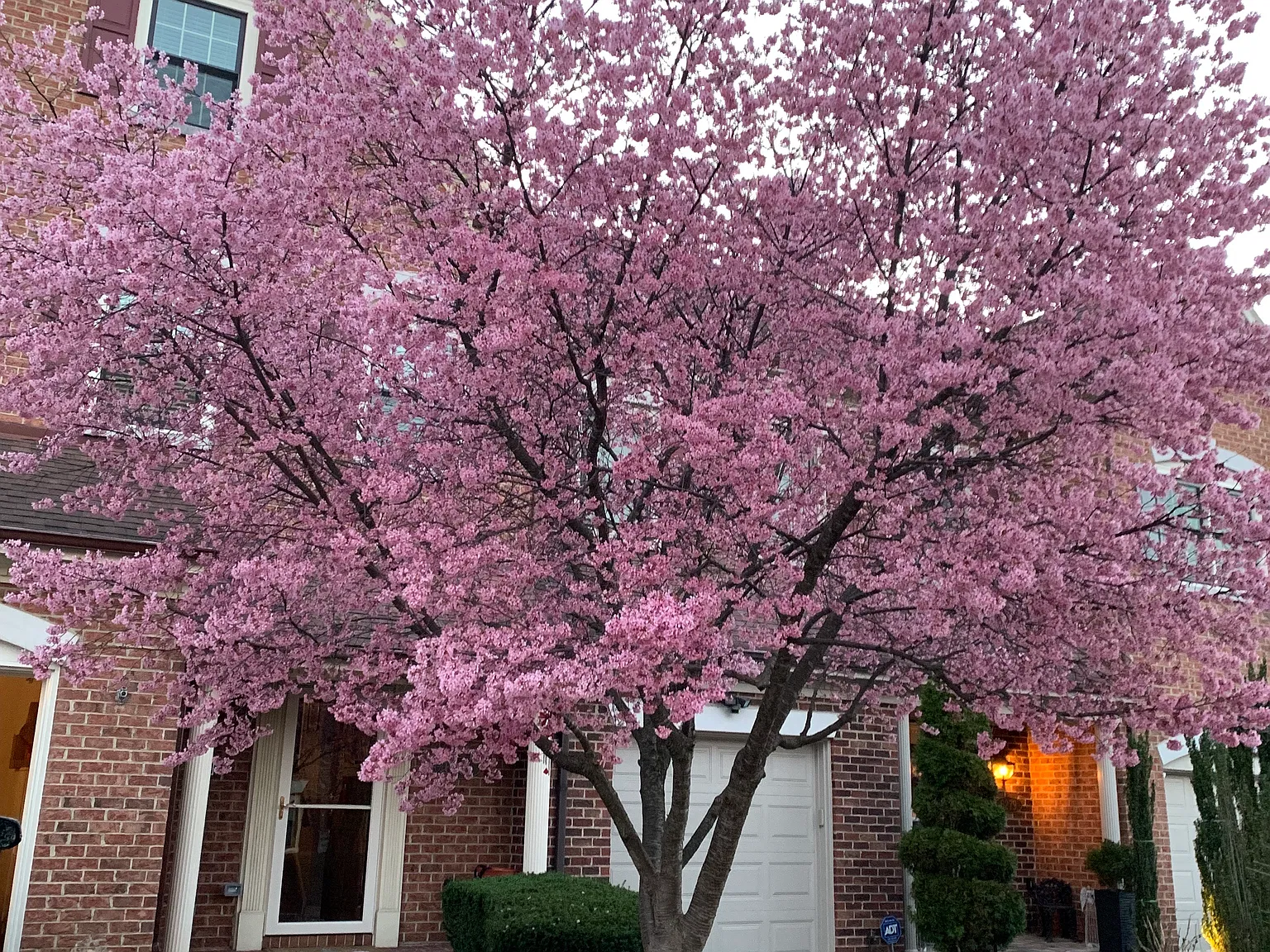 3 bed, 3000 sqft, $4,200 — Photo 2