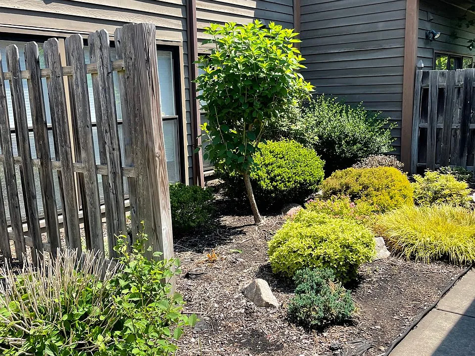 Frontyard