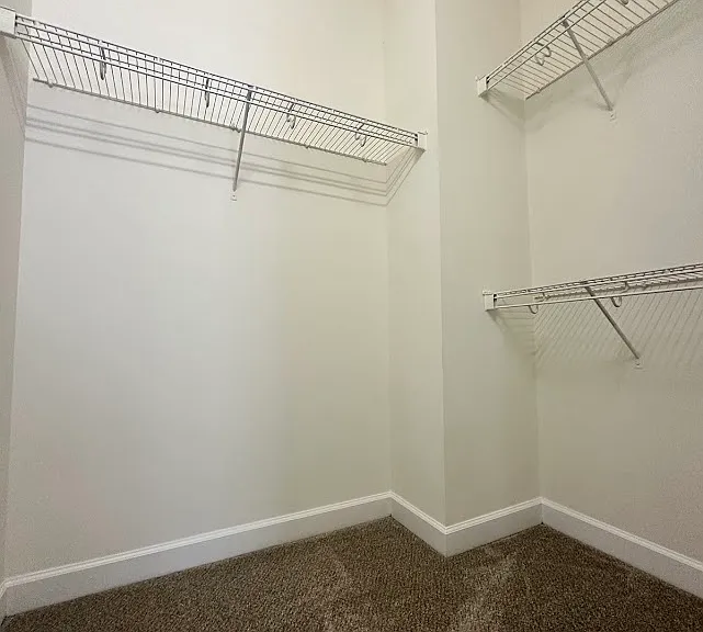 4206 Perserverance Ct — Photo 14