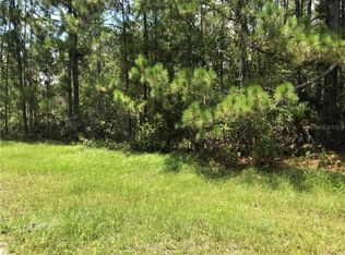 1703 Hidden Palms Dr, Davenport, FL 33897