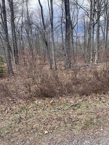 A8 Shawnee Dr, Pocono Lake, PA, 18347