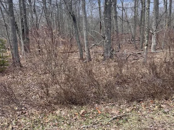 A8 Shawnee Dr, Pocono Lake, PA 18347