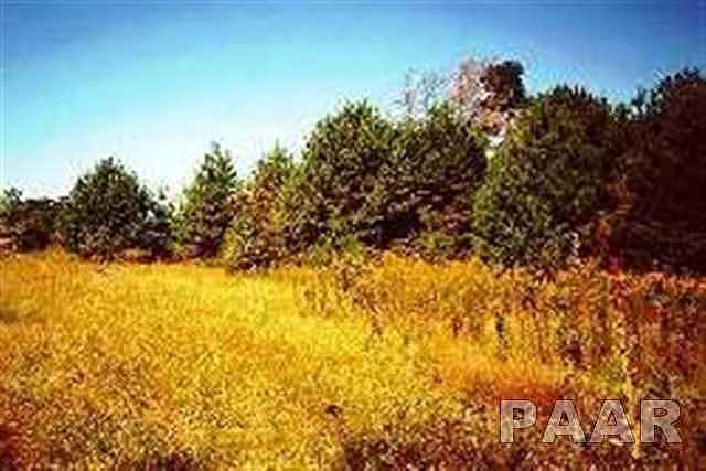 LOT 10 W Augusta Dr photo 1