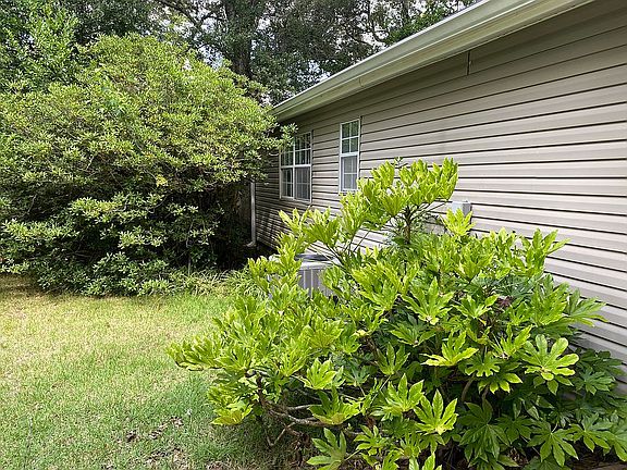 4th image of 165 Rainbow Dr