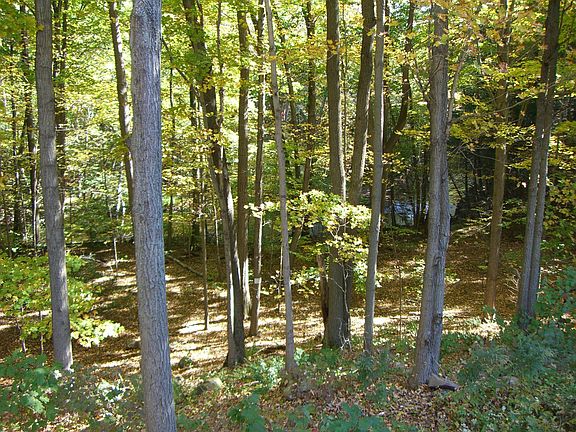 View of Mill river from deck