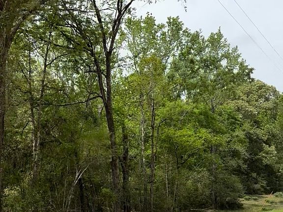 5th image of 7 County Road 242