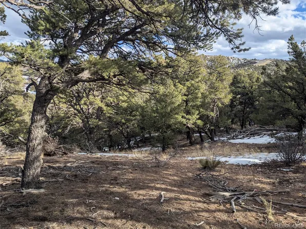 7831 Mallott Road, Fort Garland, CO 81133