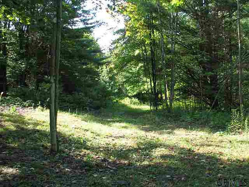 5th image of 0 HALLS POND Road