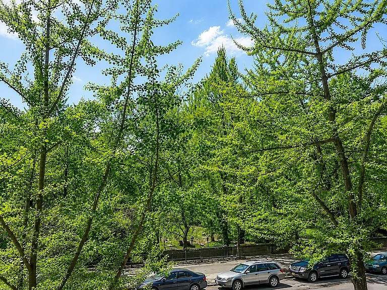 225 Central Park N #49 — Photo 9