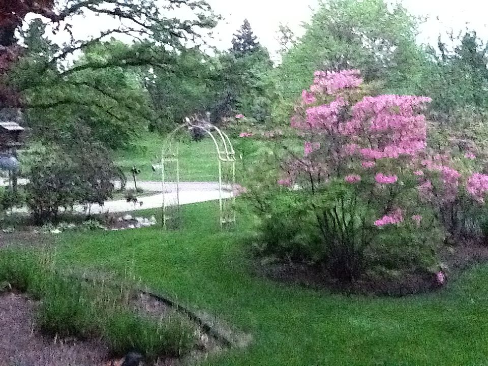 2nd image of 810 Ridge Pl