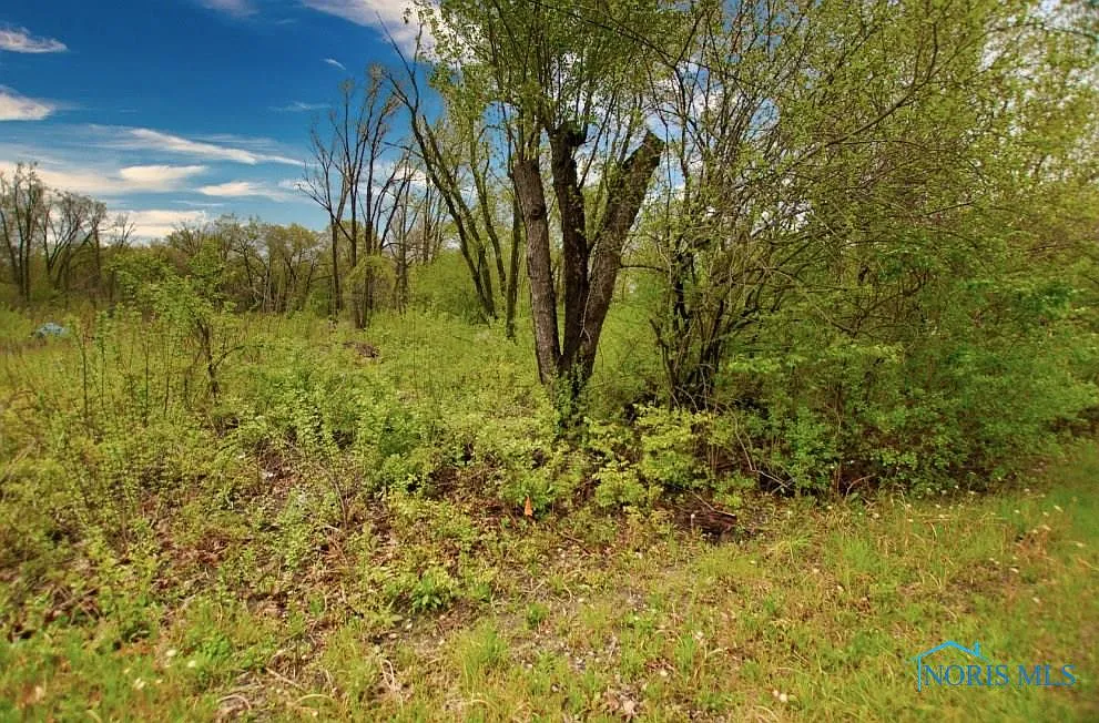 9265 Frankfort Rd photo 1