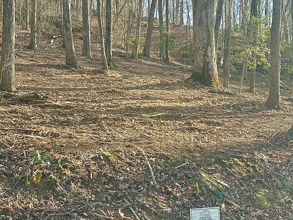 3rd image of 38 S Blue Horizon Dr