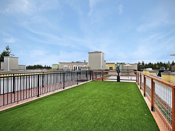 Community Dog Park