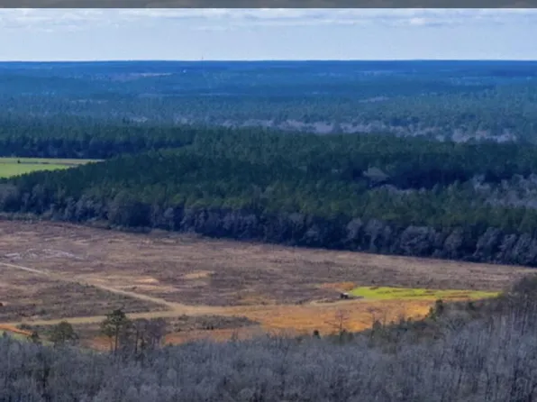 X Pen Williams Rd, Defuniak Springs, FL 32433