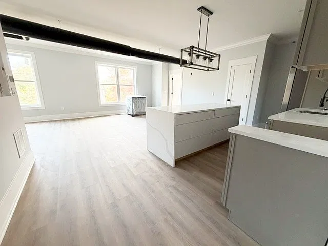 2 bed, 770 sqft, $2,750 — Photo 3