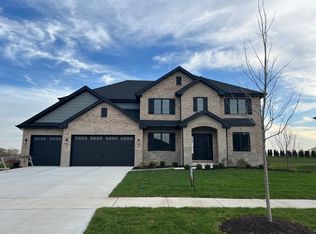 8671 Chilton Ct, Frankfort, IL 60423