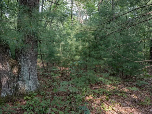 W8878 Cranberry Creek Rd, Camp Douglas, WI 54618