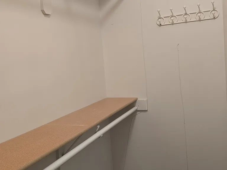 Primary walk-in closet