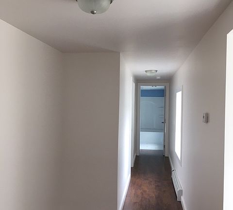 5th image of 313 Hamilton St