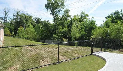 Aspen Pines Apartment Homes — Photo 8