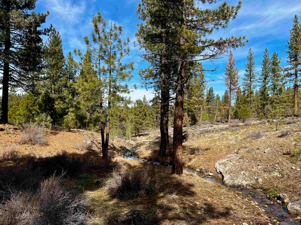 450 Emerald Point #17, Portola, CA 96122