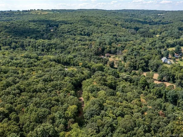 323 New Milford Road East, Bridgewater, CT 06752