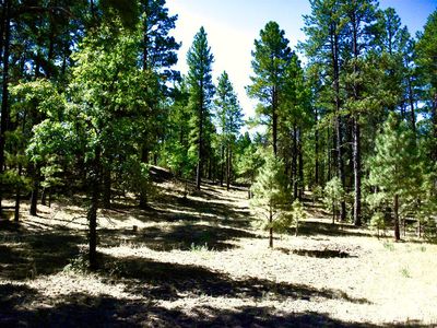 County Road 2269, Eagar, AZ, 85925