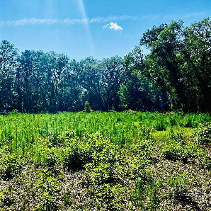 1st image of 220 NE County Road 234