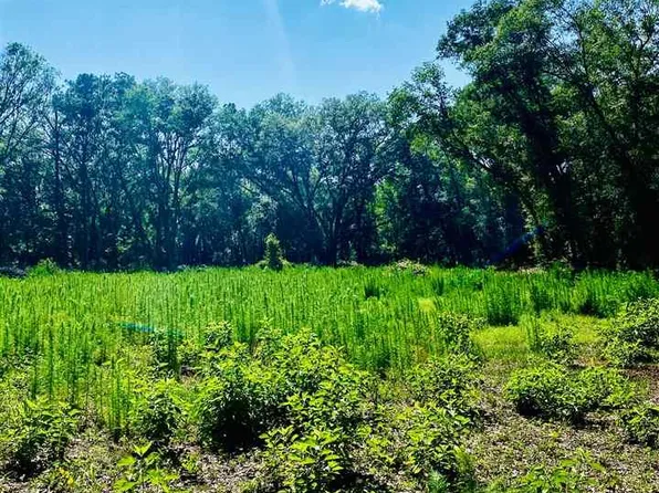 220 NE County Road 234, Gainesville, FL 32641