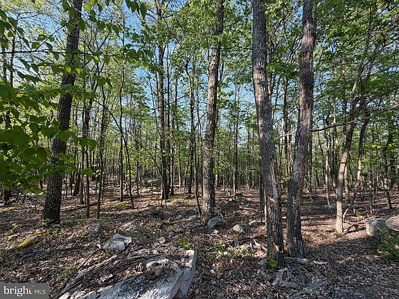 2nd image of 136 Spring Mountain Dr