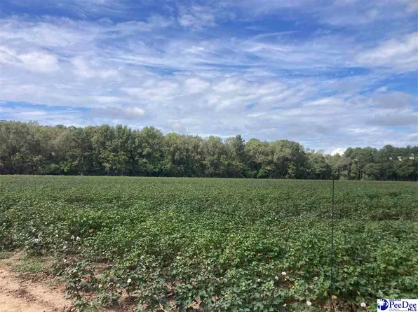Barrow Dr, Dillon, SC 29536