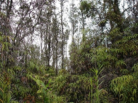 2nd image of Road 3 Hopue Lot 3217