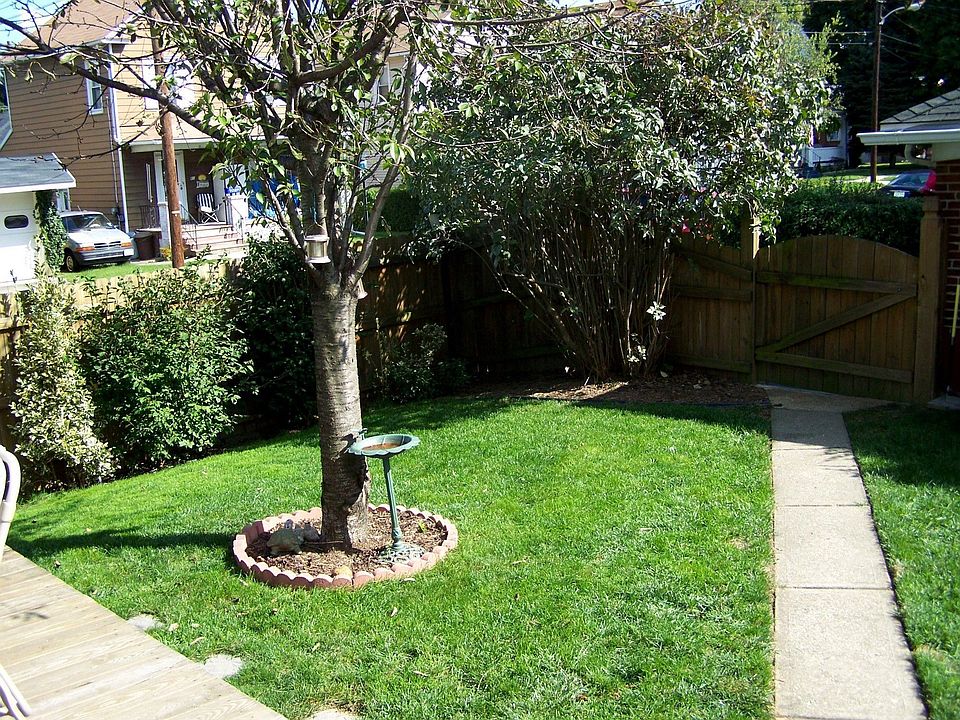 Rear Yard