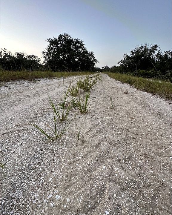 1st image of 222 Summer Wind Ln
