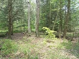 1st image of 125 Cotton Ln