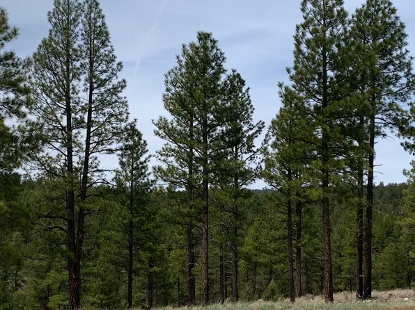 1270 Moqui Dr, Happy Jack, AZ 86024