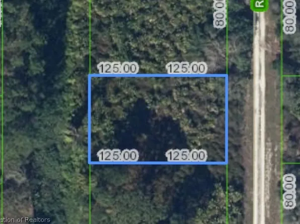 519 Rockefeller Ave, Lake Placid, FL 33852